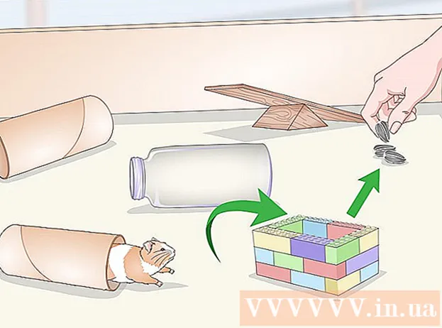 How to Teach a hamster to do fun