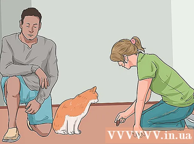 Як покликати кота