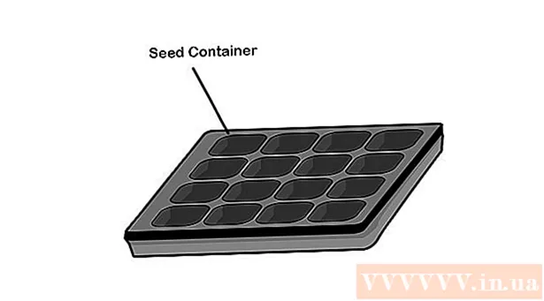 Ako zasiať semená