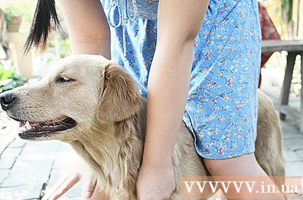 Как да намалим сухата кожа при кучета