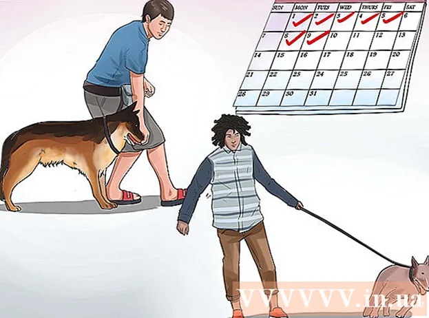 How to train your dog to walk calmly on a leash