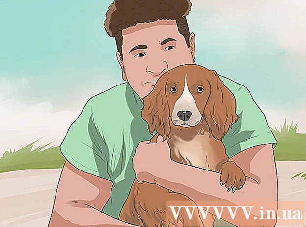 Kako dresirati psa da ne trči divlje