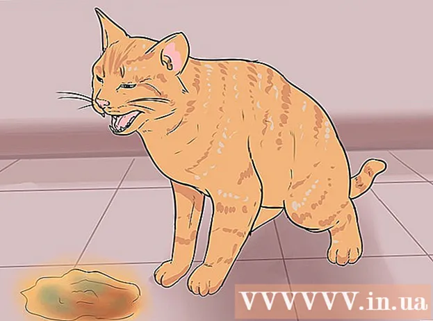 Hogyan kell betanítani egy macskát a WC-be