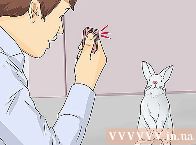 چگونه می توان خرگوش خود را هنگام تماس تربیت کرد