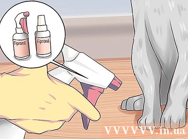 Ako liečiť vši uší mačiek