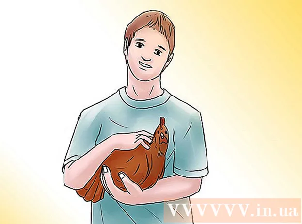 Come avviare un'attività di allevamento di polli