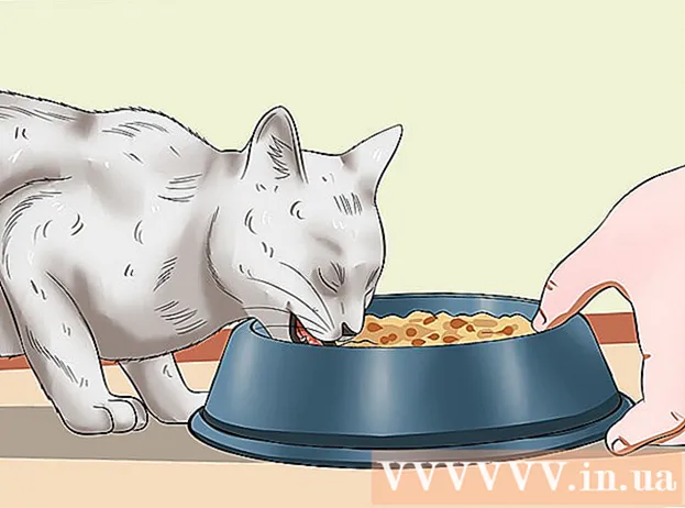 Si ta bëni macen tuaj të të dojë