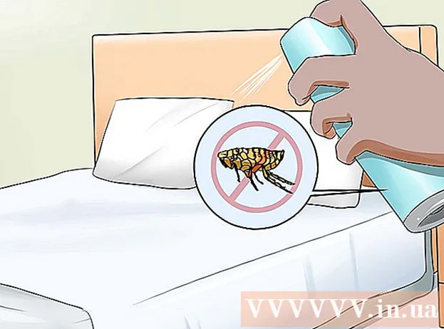 Como verificar se há pulgas em gatos