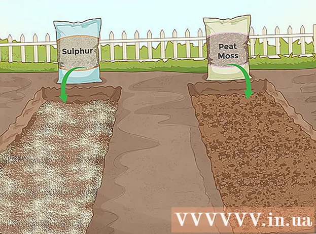 Ինչպես ստուգել հողի pH- ը