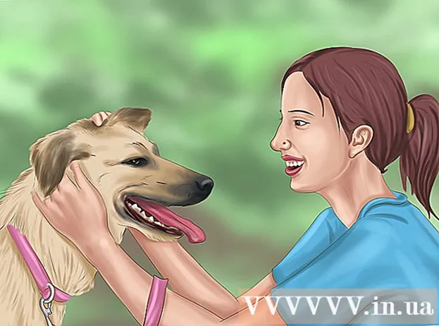 Sådan beroliger du din hund