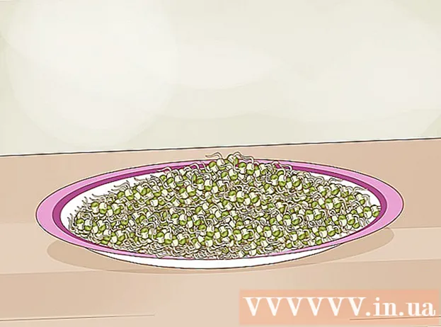 Как сделать ростки фасоли с зеленой фасолью