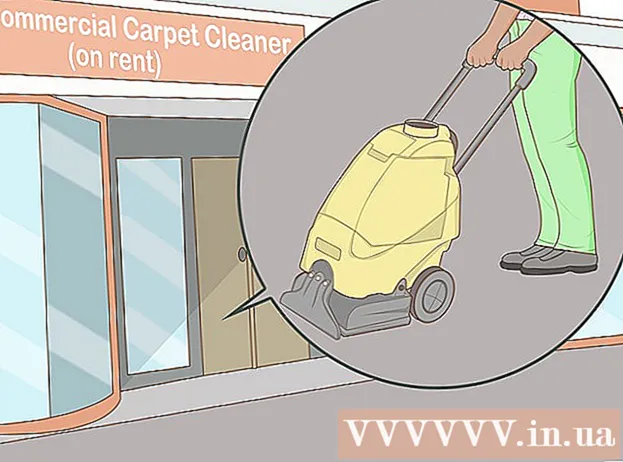 How to clean a pet's vomit on a carpet