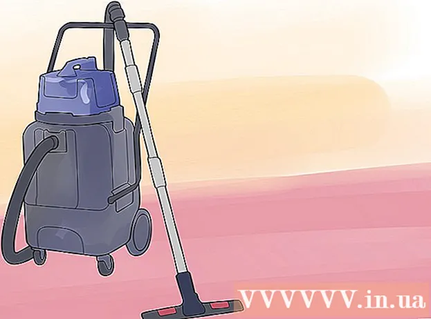 How to clean mold on carpet