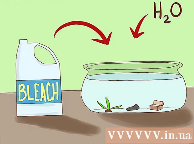 Kako se znebiti polžev v akvariju
