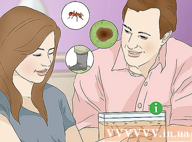 איך להיפטר מנמלים מאש
