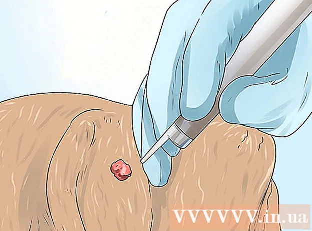 How to get rid of warts in dogs