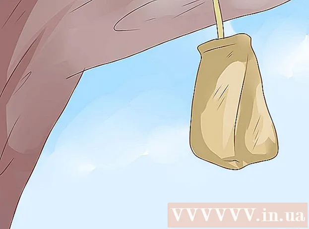 How to get rid of wasps