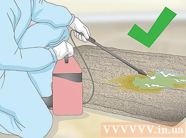 Kako se riješiti starih mrlja od psećeg urina