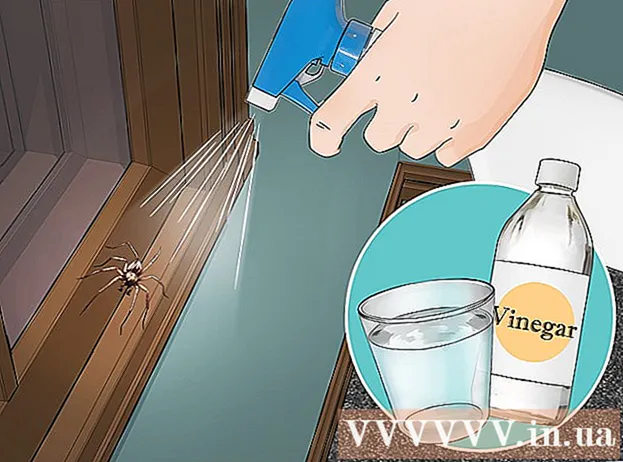 Kako se riješiti pauka u kući