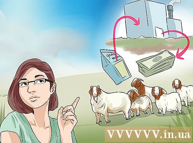 Hoe een geitenboerderij op te zetten
