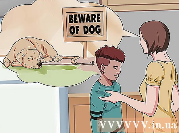 Kaip reaguoti į šuns puolimą