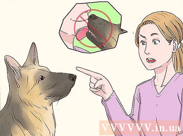 How to stop dogs from licking you