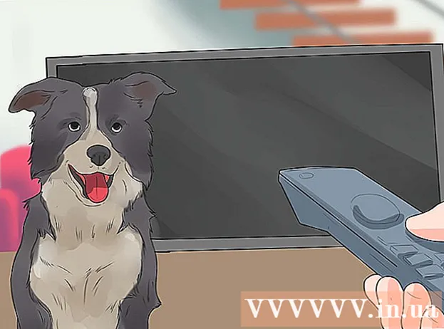 Hvordan forhindre at hunder bjeffer på andre hunder