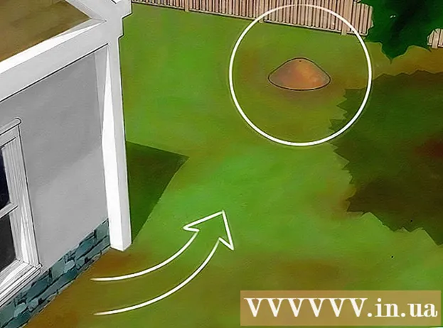 كيفية إبعاد النمل عن منزلك