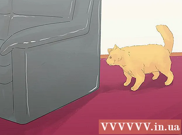 Comment empêcher les chats de faire pipi sur le tapis