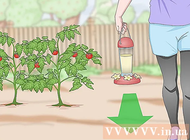 How to keep cats out of the garden