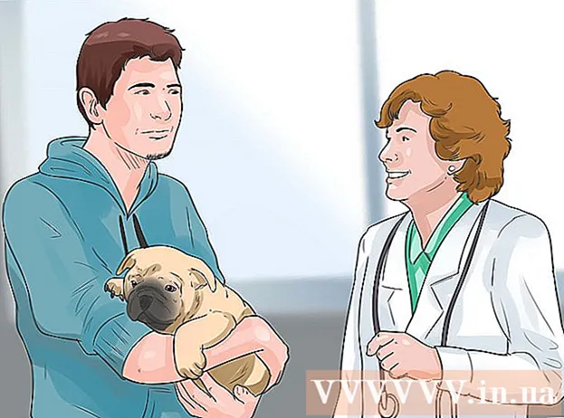 Cómo reconocer parvo en perros