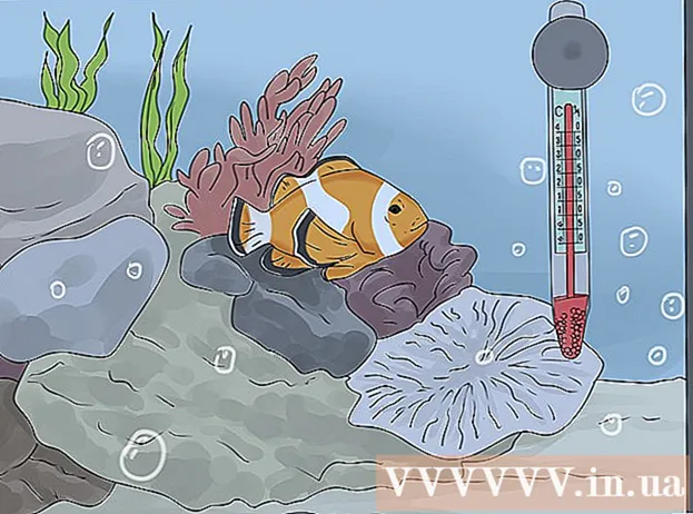 Jak sprawdzić, czy twoja ryba nie żyje