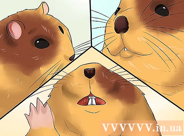 How to tell if a hamster is dying