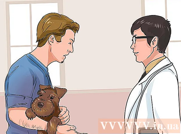 Wie man die Anzeichen einer Vergiftung bei Hunden erkennt