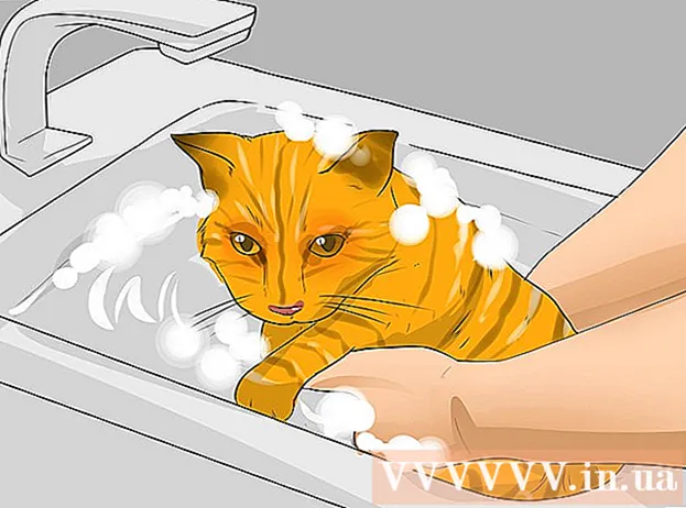 How to recognize signs of an allergy to cats