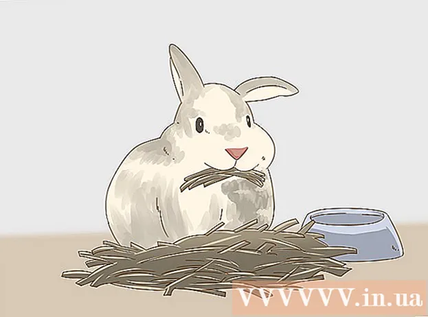 Cómo saber si tu conejo está preñado
