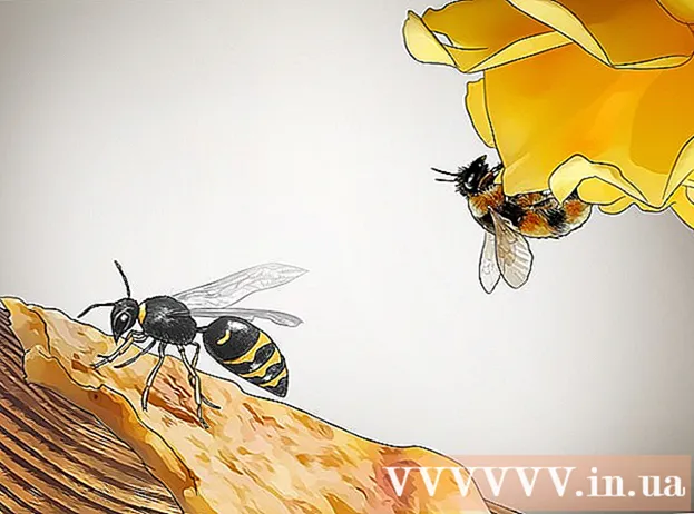 ວິທີການລະບຸ wasps
