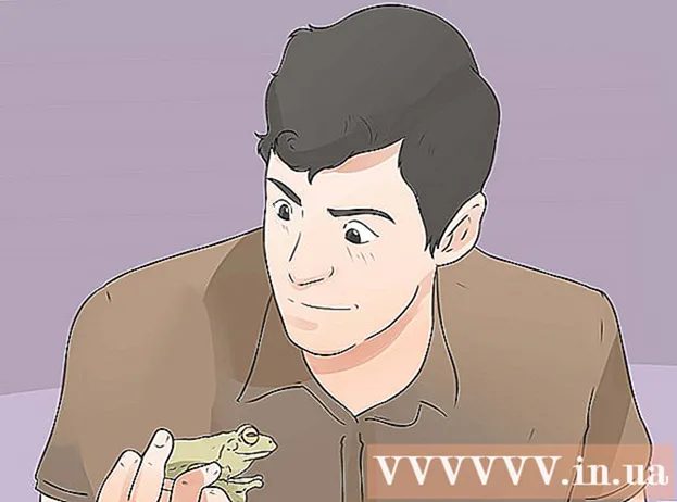 Maneres d’alimentar granotes ornamentals