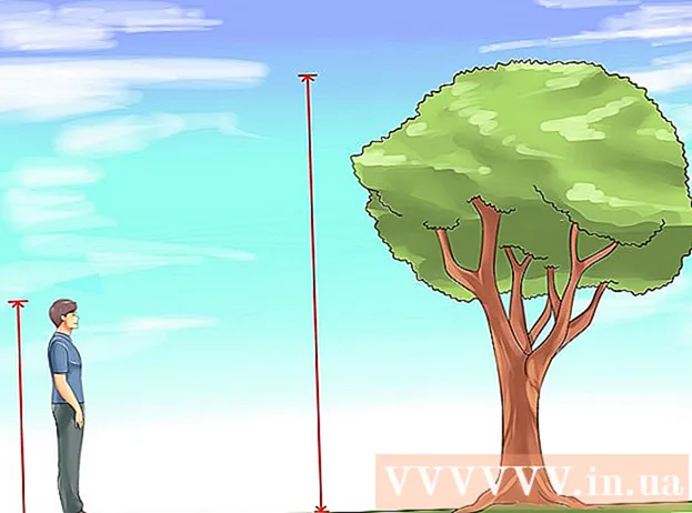 木の高さを測定する方法