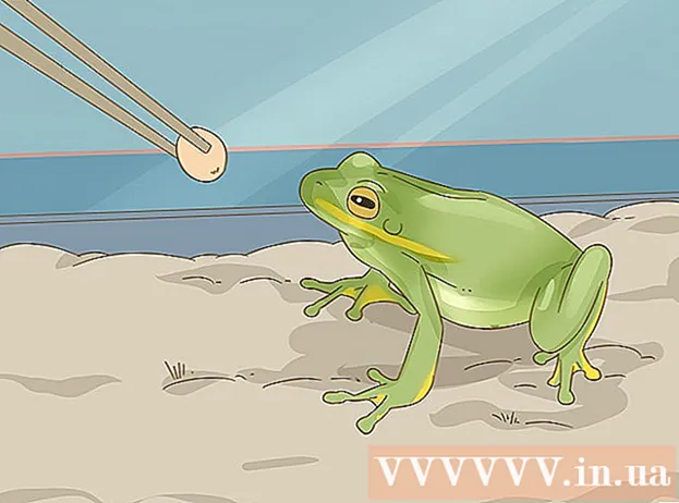 Hvordan skille mellom en padde og en frosk