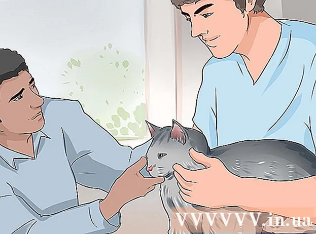 How to detect cat worms