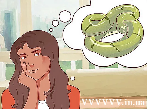 Si të mbijetoni kur kafshohet nga një gjarpër helmues