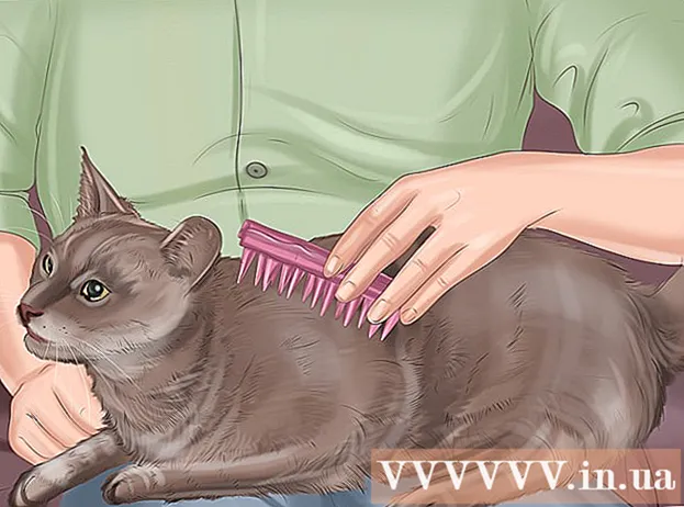 Ako prejaviť náklonnosť k mačke