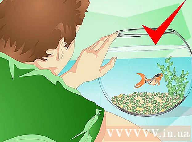 How to change aquarium water