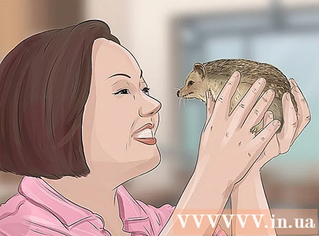 Kako krotiti ježa