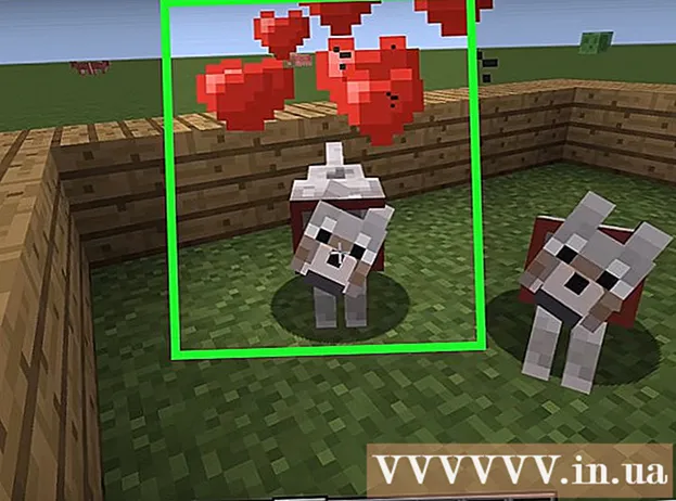 كيفية ترويض وتربية الكلاب في Minecraft