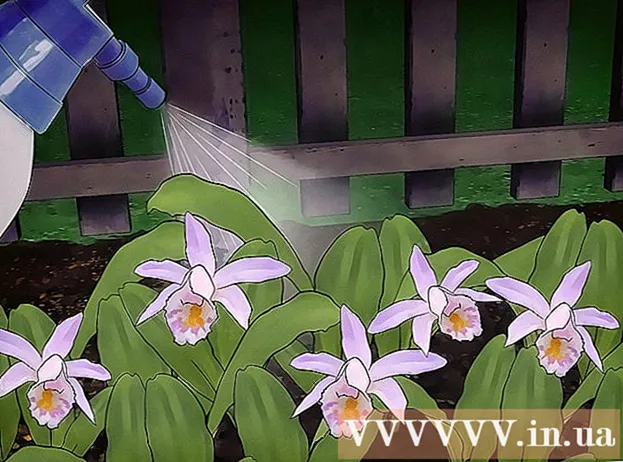 Как да поливаме орхидеи