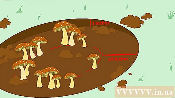 Maneiras de matar cogumelos