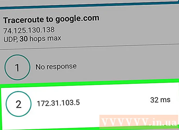 How to find the IP address of a website
