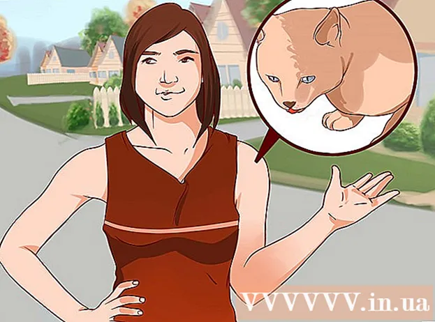 Ako sa rozlúčiť so strachom z mačky